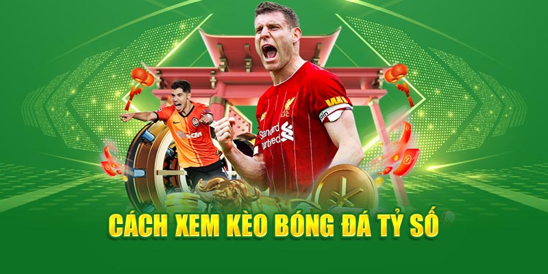 Khám Phá Cách Đọc Kèo Bóng Đá Chi Tiết, Newbie Nên Biết 4 cach-xem-keo-bong-da-ty-so