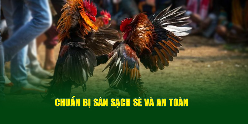 Đá Gà Miền Tây - Thông Tin Cơ Bản, Luật Chơi Từ God88 4 chuan-bi-san-sach-se-va-an-toan