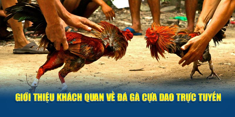 1 gioi-thieu-khach-quan-ve-da-ga-cua-dao-truc-tuyen