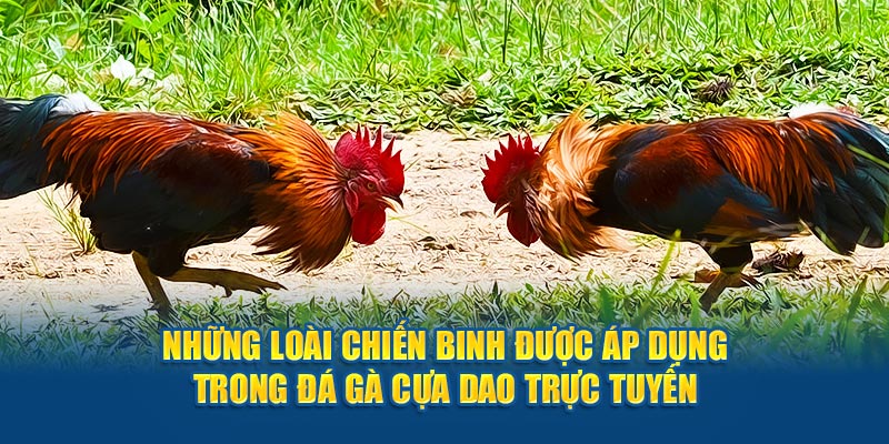 3 nhung-loai-chien-binh-duoc-ap-dung-trong-da-ga-cua-dao-truc-tuyen