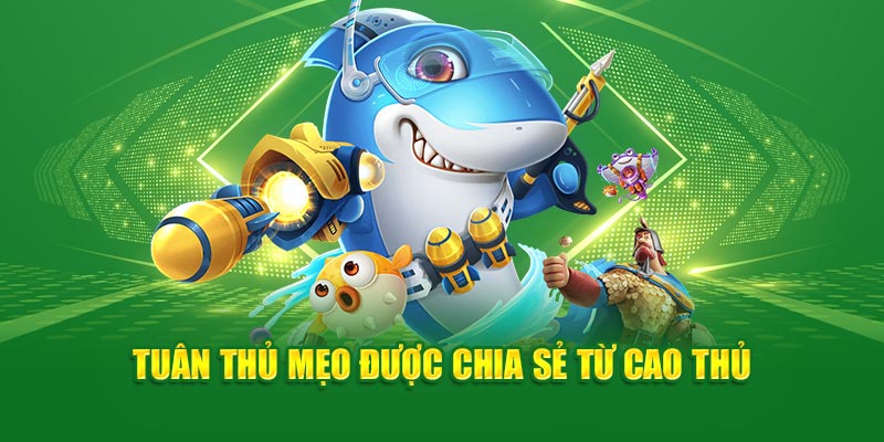Cách Chơi Bắn Cá Luôn Thắng Tại God88: Chia Sẻ Từ Cao Thủ 4 tuan-thu-meo-duoc-chia-se-tu-cao-thu